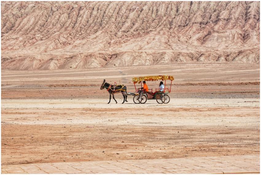 A vibrant horse-drawn cart travels across a barren