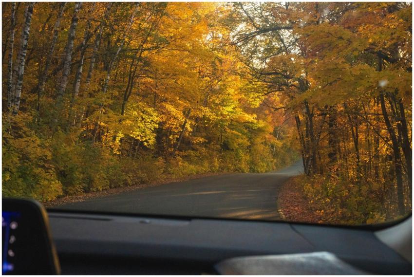 A beautiful autumn road scene with vibrant foliage