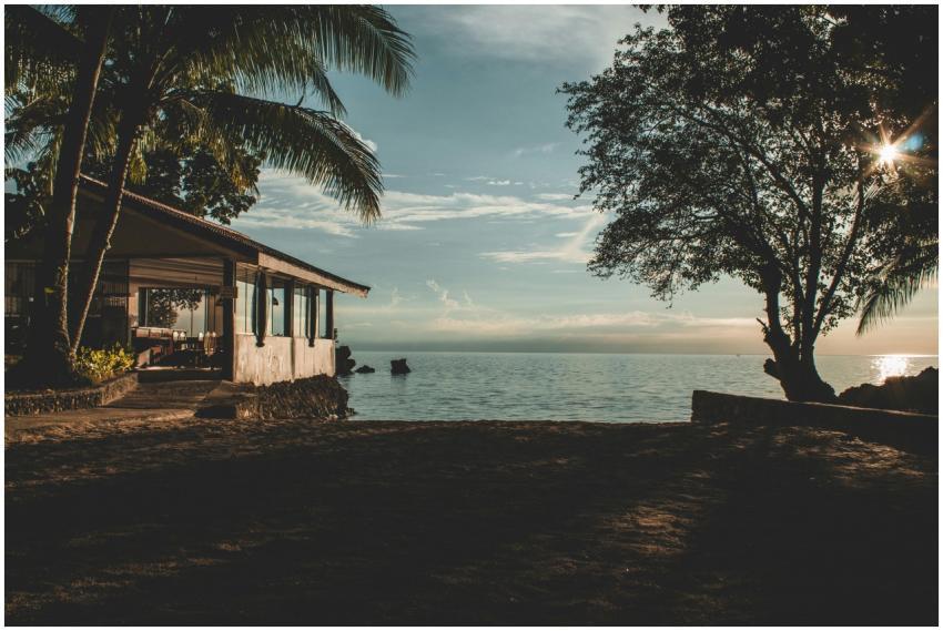 A serene beachfront house surrounded by palm trees
