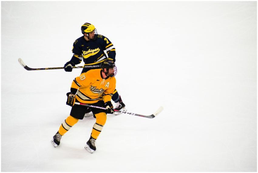 Two male ice hockey players in action on the rink,