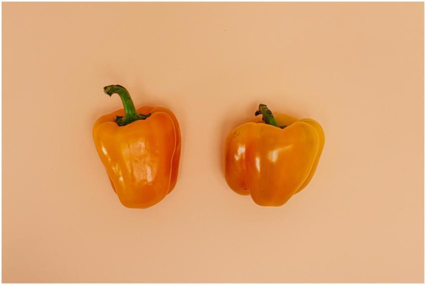 Two fresh yellow bell peppers isolated on a soft p