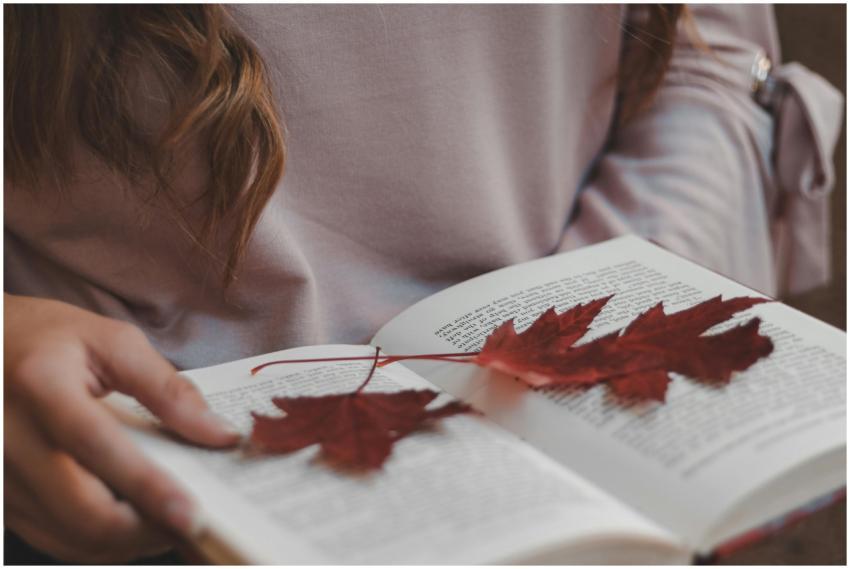 Cozy autumn scene with hands holding a book and ma