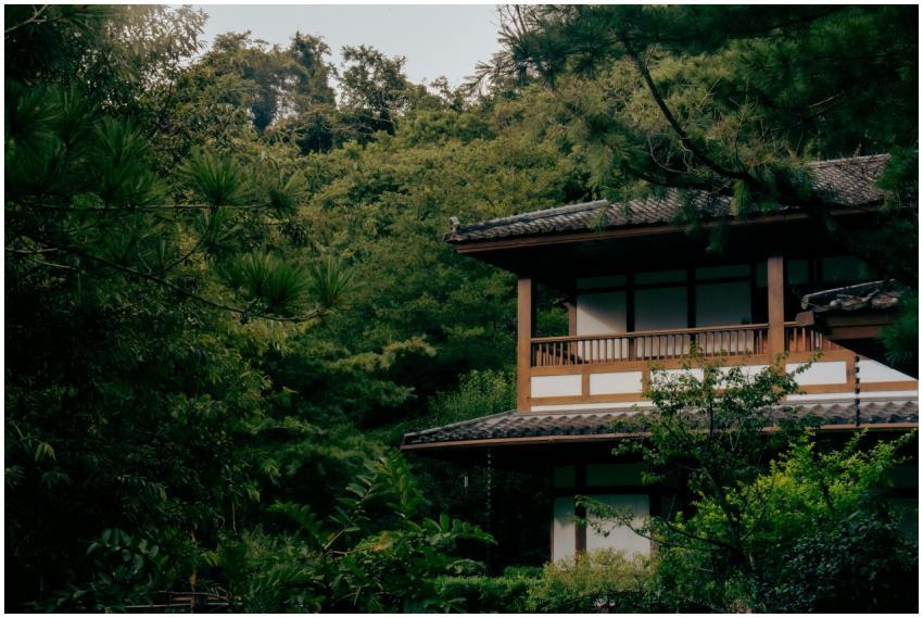Peaceful traditional structure amidst dense greene