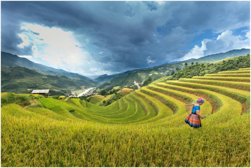 Scenic view of rice terraces in Mù Cang Chải with