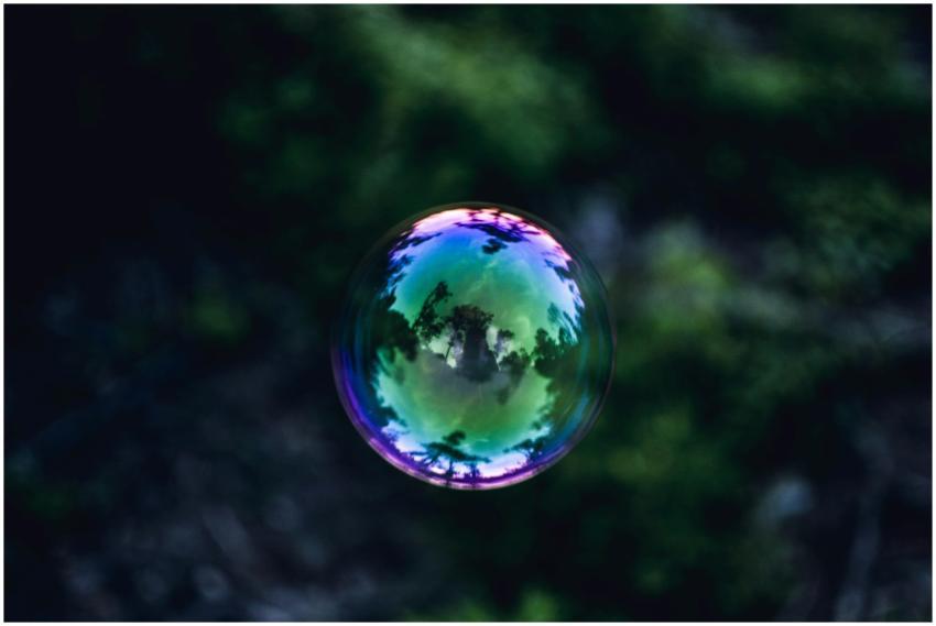 A colorful soap bubble reflecting trees and sky in