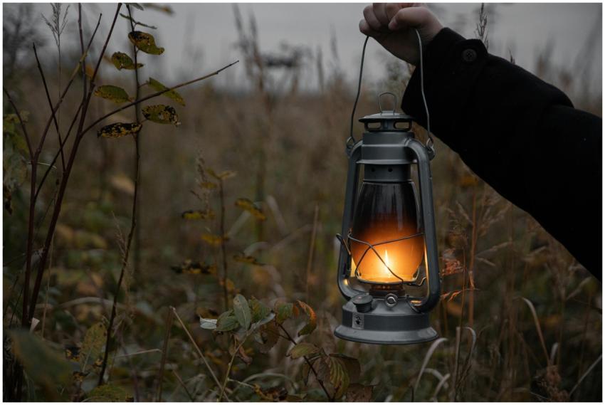 A person holds a glowing lantern in a moody fall f