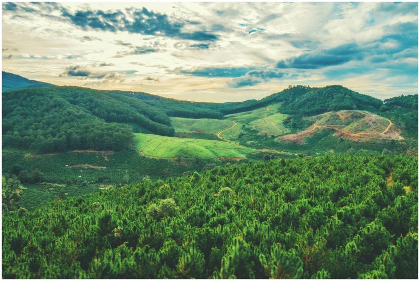 Captivating landscape of verdant hills and forests