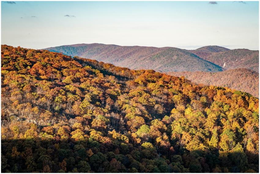 Vibrant autumn foliage covering mountain range und