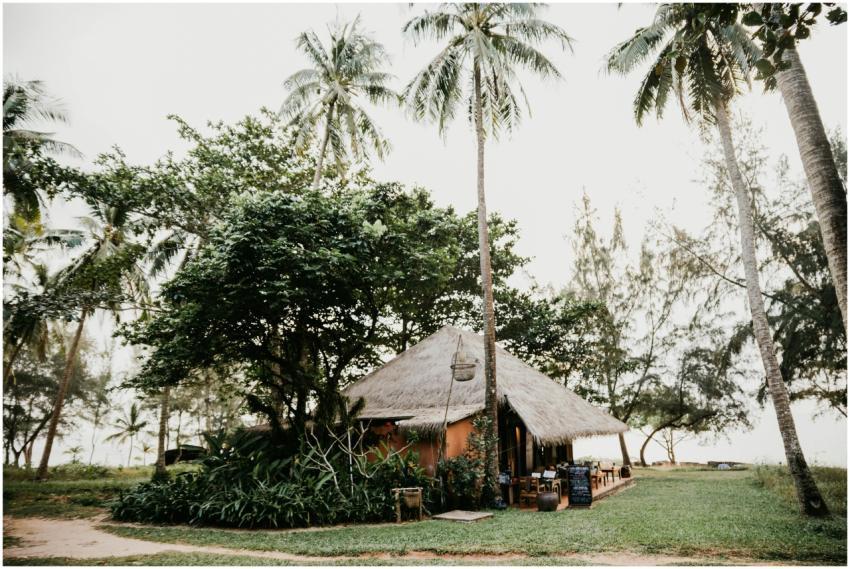 A tropical hut nestled among palm trees by the bea