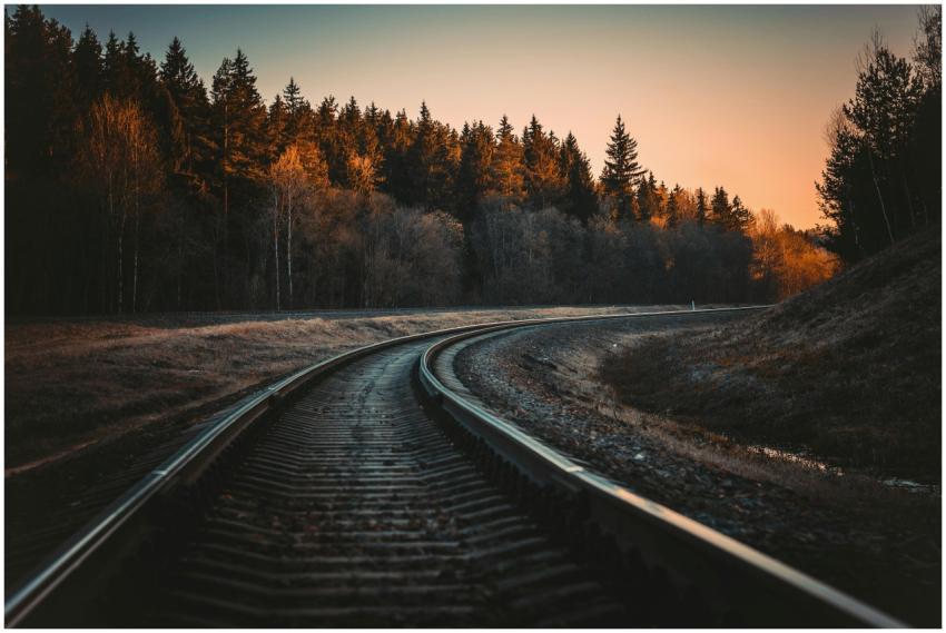 A serene view of a railway track in a forest at su