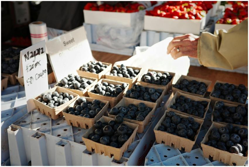 A vibrant display of blueberries for sale at a Los
