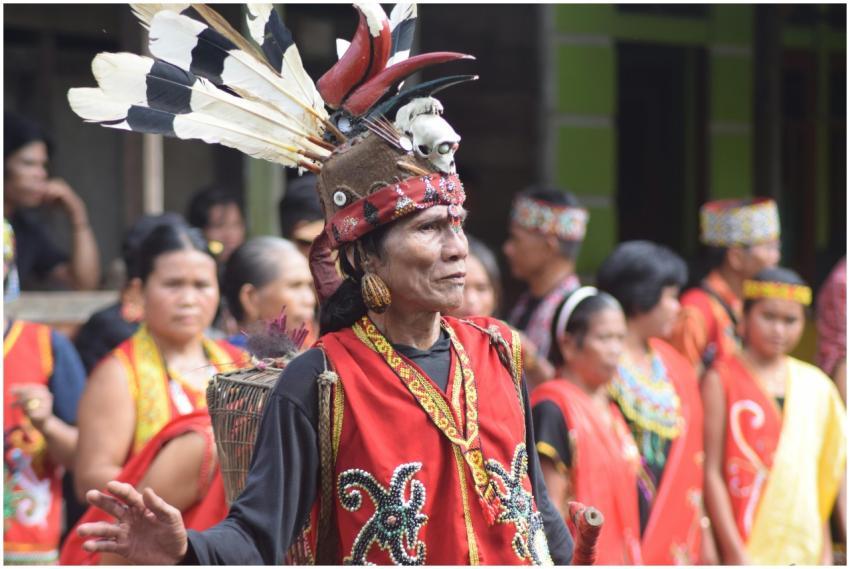 Vibrant celebration of Dayak culture with traditio