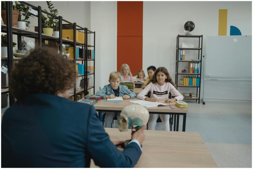 Children learn biology in a colorful classroom set