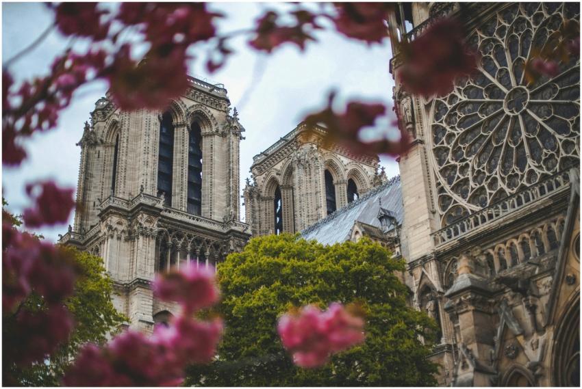 Notre Dame Cathedral in Paris with vibrant spring