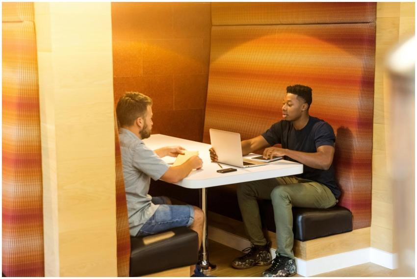 Two men discussing work at a laptop in a modern in