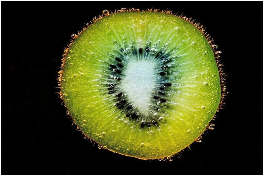 Vibrant close-up of a kiwi slice with water drople