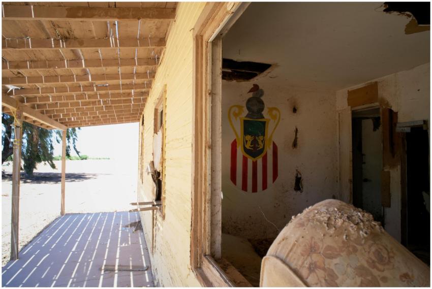 Explore an abandoned house with a mural in the des