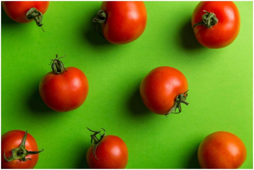 Colorful display of ripe tomatoes on a green backd