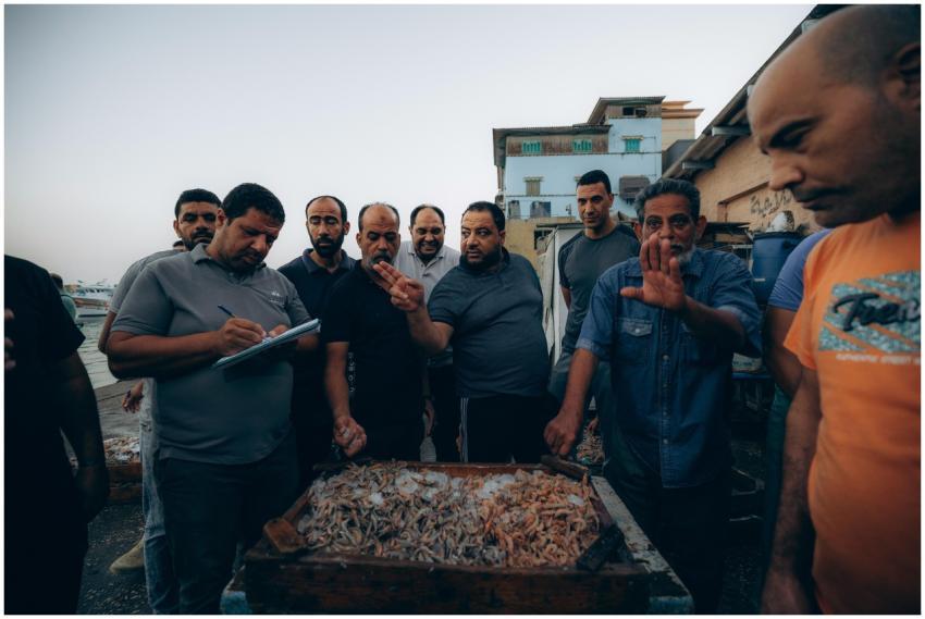 A group of fishermen trade at Ras El-Bar fish mark