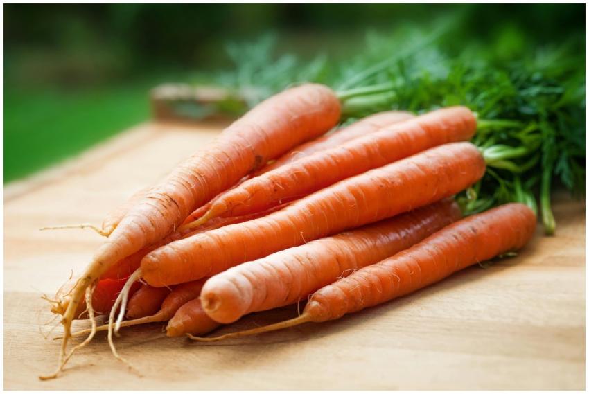 A bunch of fresh organic carrots on a wooden surfa