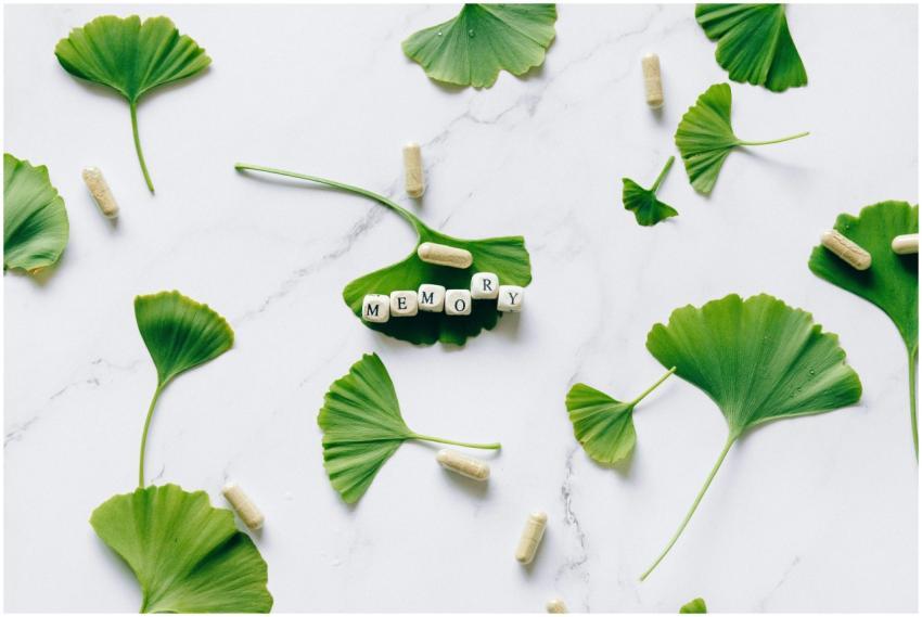 Flat lay of ginkgo leaves with memory capsules on