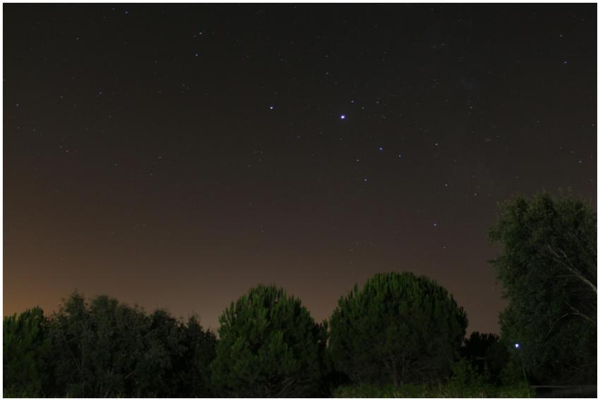 Peaceful nighttime scene showcasing stars above si