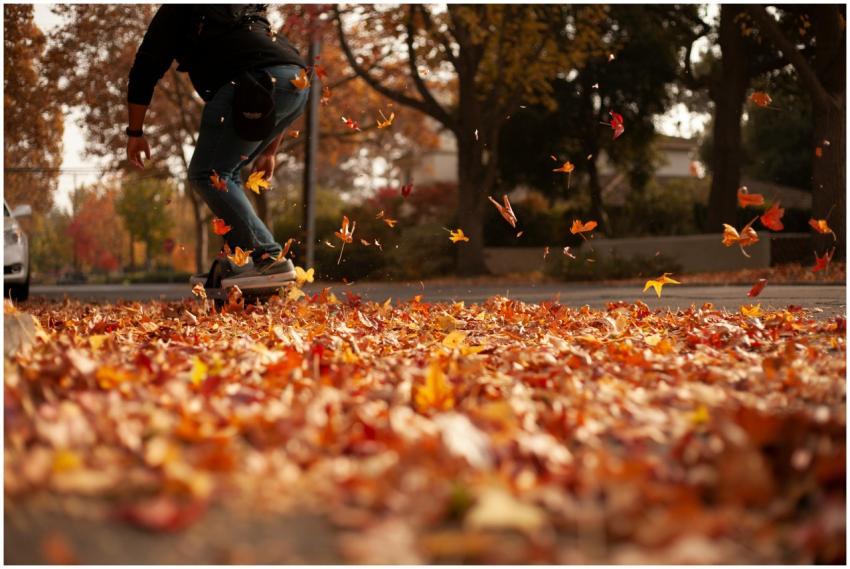 A skateboarder glides through fallen autumn leaves