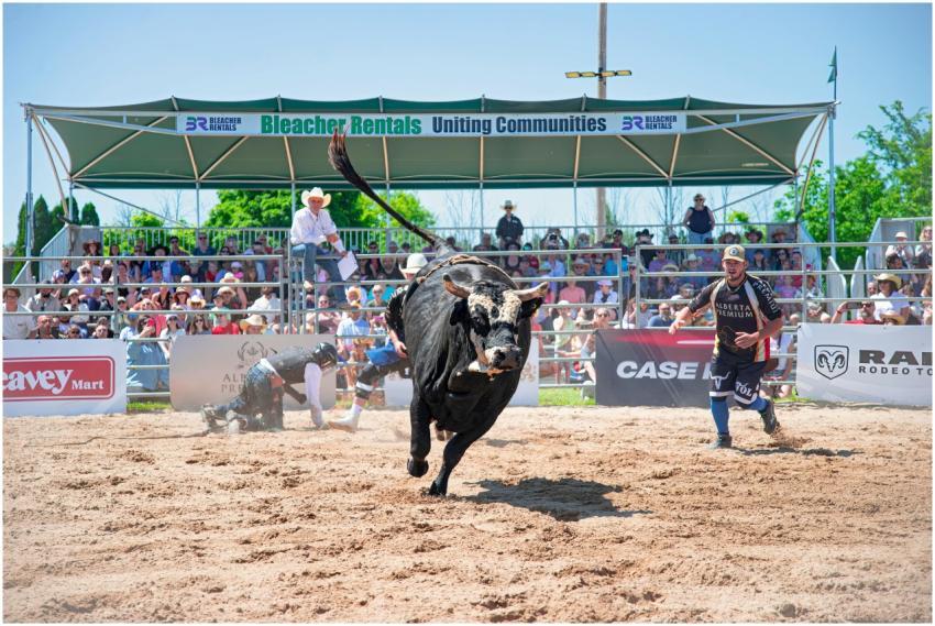 Exciting Rodeo Bull Riding