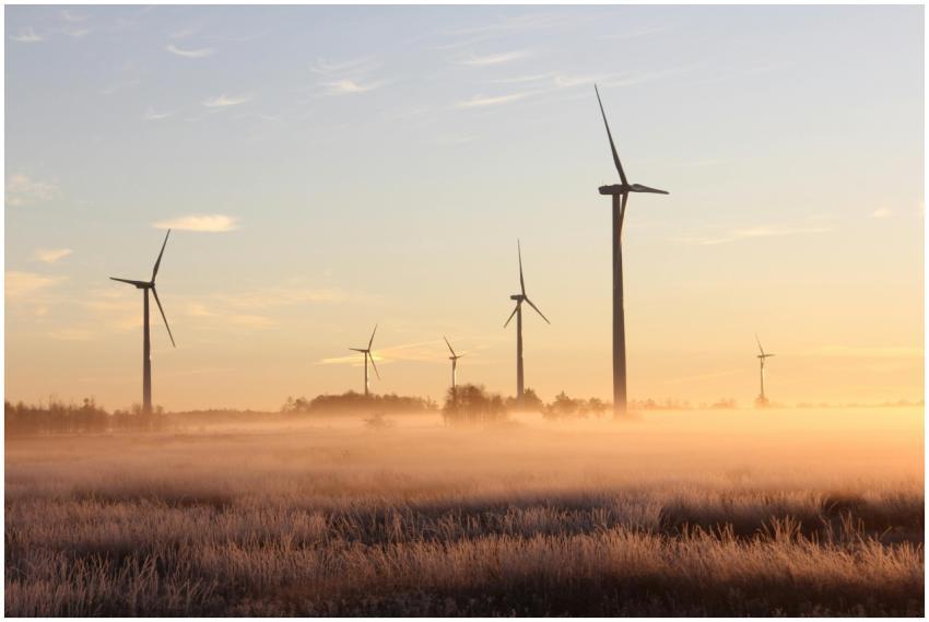 Wind turbines stand tall amidst a misty, sunrise l