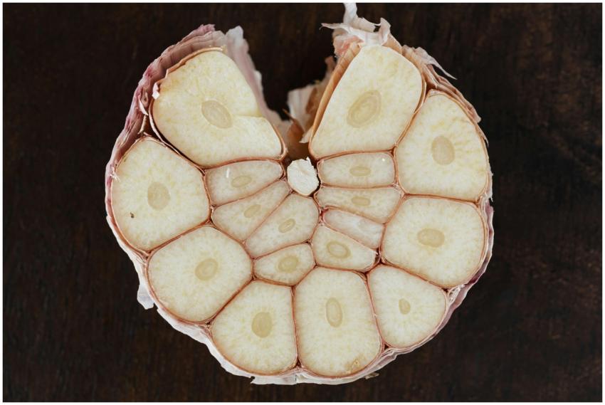 Macro shot of a fresh garlic bulb with a rustic ba