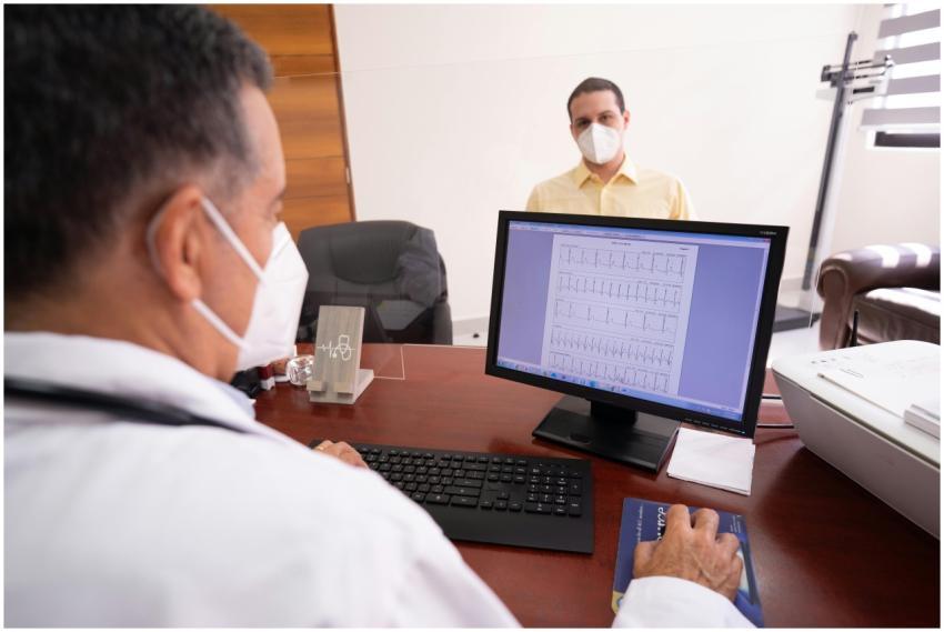 Doctor consults patient remotely using computer an