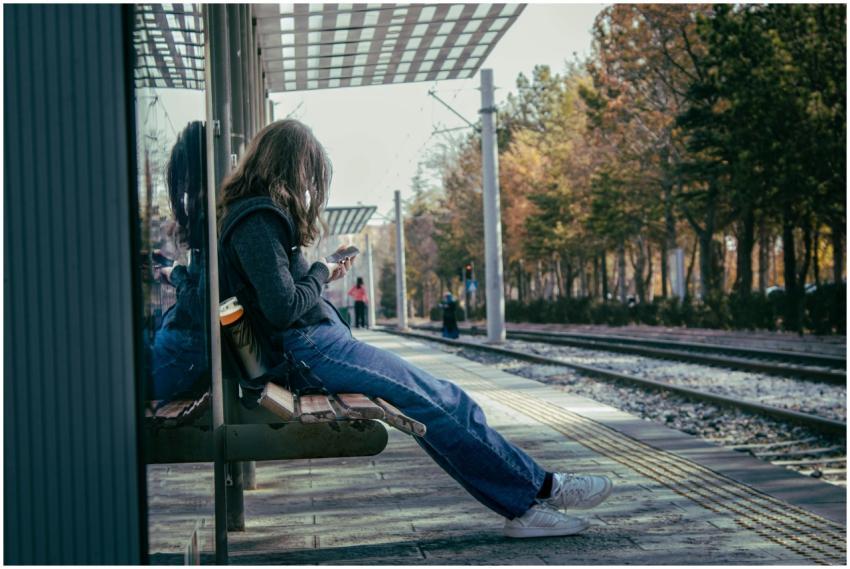 Free stock photo of aesthetic, autumn, cool