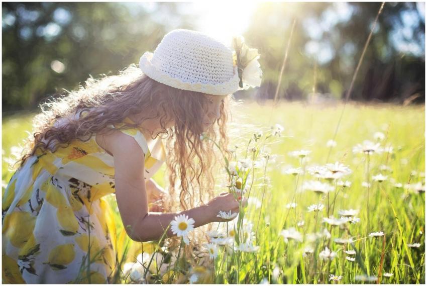 Little girl enjoys picking flowers in a sunlit mea