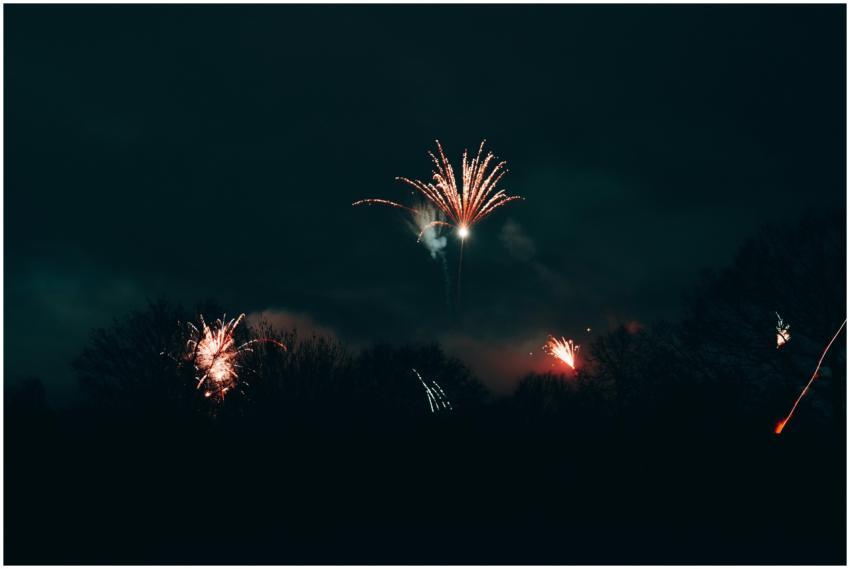 A breathtaking display of vibrant fireworks illumi