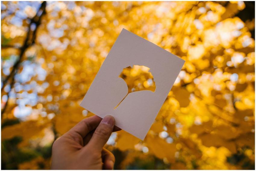 A hand holds a paper cutout of a ginkgo leaf with