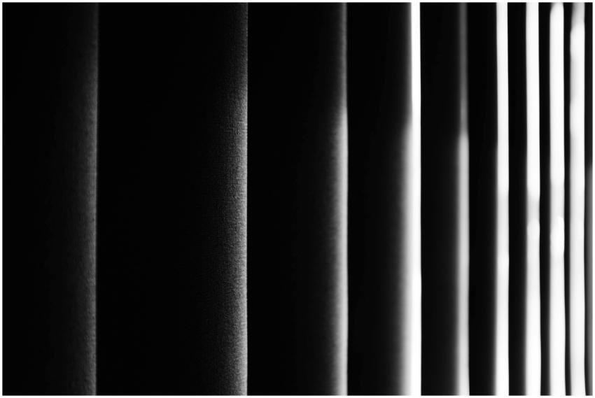 Moody black and white photo emphasizing vertical b