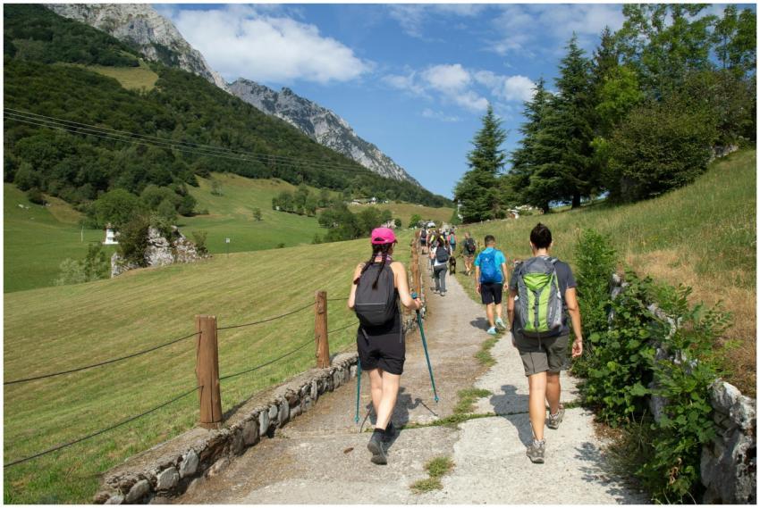 A group of hikers enjoying a sunny day on a scenic