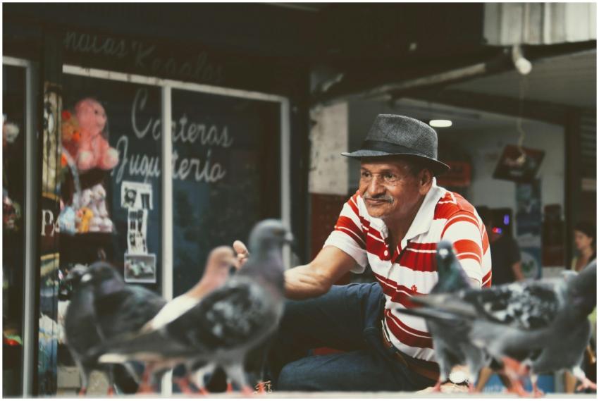 Senior man in casual attire feeds pigeons on a bus