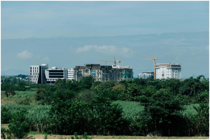 Urban Development Amidst Lush