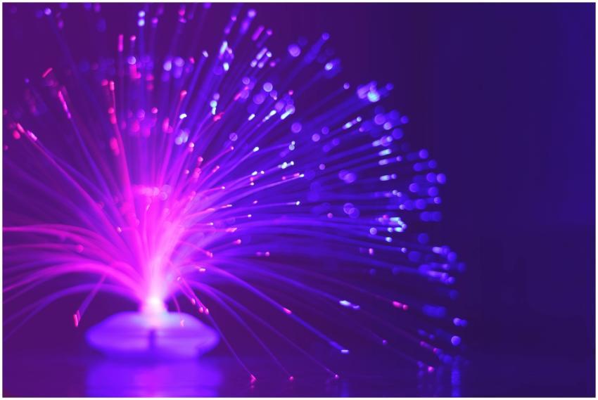 Abstract image of a vibrant purple and pink fiber