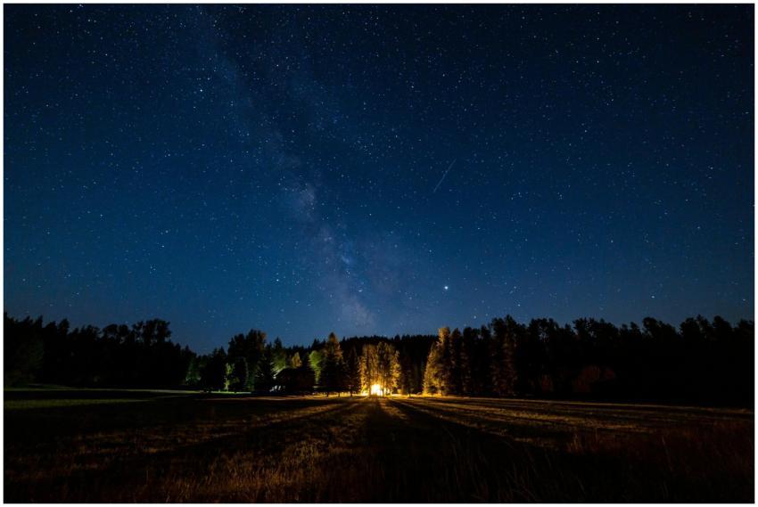 Peaceful starry night sky over a forest with a glo