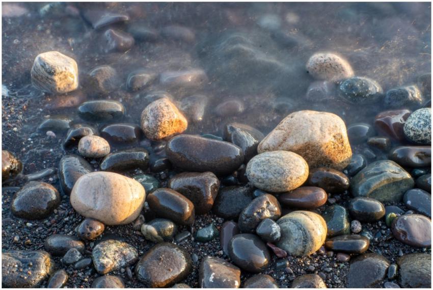 Free stock photo of closeup, isle royale national