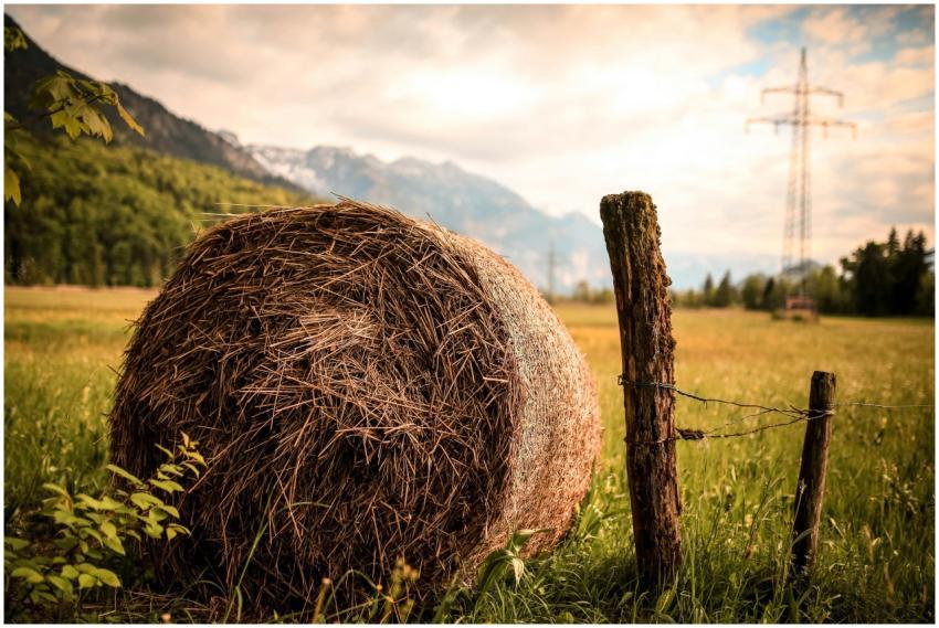 Hay bale in a scenic rural landscape during sunset