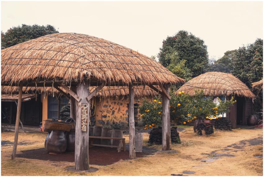 Explore a traditional Jeju village featuring thatc