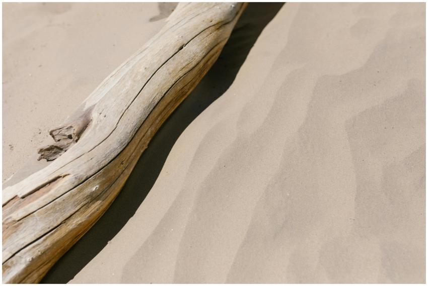 A photo of a single piece of driftwood lying on a