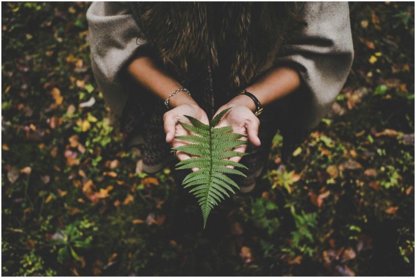 A woman holding a vivid green fern leaf in an autu