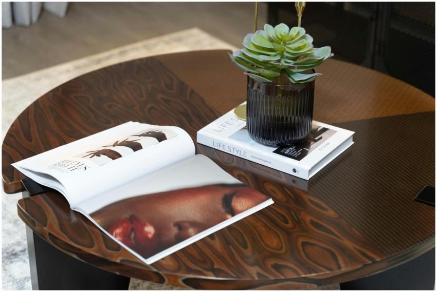 Stylish coffee table with a succulent and lifestyl