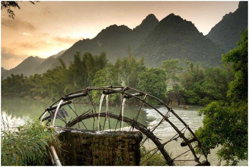 Picturesque view of a waterwheel amidst lush green
