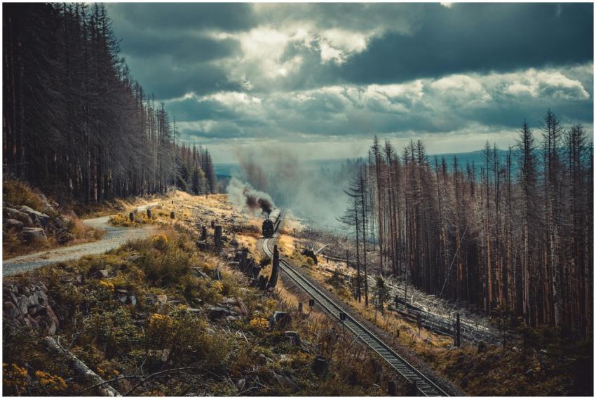 Steam train travels through misty Harz forest, off