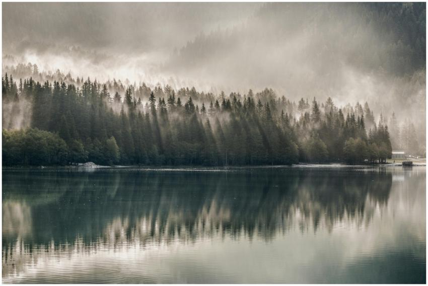 Serene foggy forest reflected on a tranquil lake,